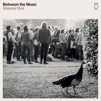 Various Artists - End Of The Road Presents: Between The Music vinyl cover