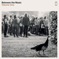 Various Artists - End Of The Road Presents: Between The Music vinyl cover