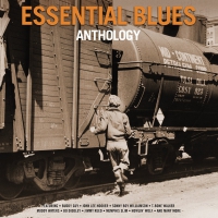 Various Artists - Essential Blues Anthology vinyl cover