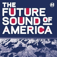 Various Artists - Future Sound Of America vinyl cover