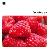 Various Artists - Goosebumps: 25 Years Of Marina Records vinyl cover