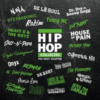 Various Artists - Hip Hop Collected: The Next Chapter (Green & White) vinyl cover