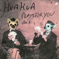 Various Artists - Hua Hua Plays For You Vol 1 vinyl cover
