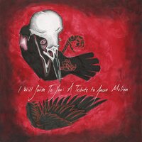 Various Artists - I Will Swim to You: A Tribute to Jason Molina vinyl cover