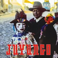 Various Artists - JUyungo: Afro-Indigenous Music From The North-Western Andes vinyl cover