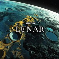 Various Artists - Liquicity: Lunar vinyl cover
