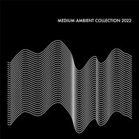 Various Artists - Medium Ambient Collection 2022  vinyl cover