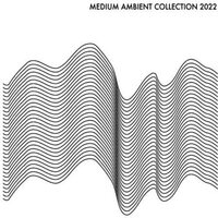 Various Artists - Medium Ambient Collection 2022 (White) vinyl cover