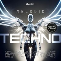 Various Artists - Melodic Techno 2025 vinyl cover
