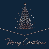 Various Artists - Merry Christmas vinyl cover