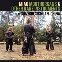 Various Artists - Miao Mouthorgans And Other Rare Instruments In Guizhou, Sichuan, China vinyl cover