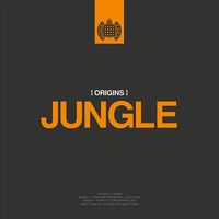 Various Artists - Ministry Of Sound: Origins Of Jungle vinyl cover