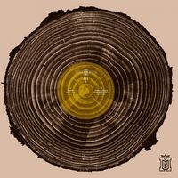 Various Artists - Muna Musik 011 vinyl cover