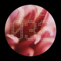 Various Artists - NECH032 vinyl cover