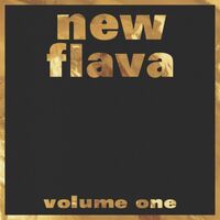 Various Artists - New Flava Vol. 1