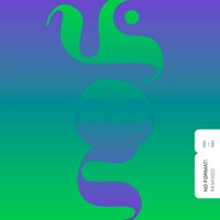 Various Artists - NO Format! Remixed 2004-2024 Various vinyl cover