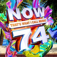 Various Artists - Now 74 vinyl cover