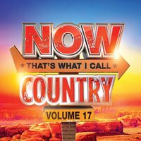 Various Artists - NOW Country 17 (Coral) vinyl cover