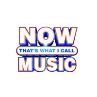 Various Artists - Now Country Classics '90S vinyl cover