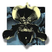 Various Artists - Nowhere02 vinyl cover