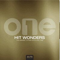 Various Artists - One Hit Wonders vinyl cover