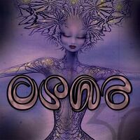 Various Artists - Opaz 30 vinyl cover