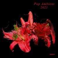 Various Artists - Pop Ambient 2021 vinyl cover