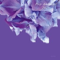 Various Artists - Pop Ambient 2025 vinyl cover