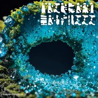 Various Artists - Primary Forest 03 vinyl cover