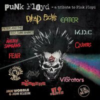 Various Artists - Punk Floyd - A Tribute To Pink Floyd vinyl cover