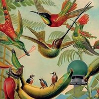 Various Artists - Radar Keroxen, Vol.4 vinyl cover