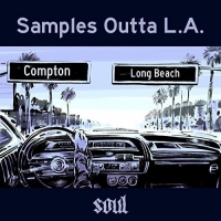 Various Artists - Samples Outta L.a. Soul vinyl cover