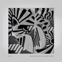 Various Artists - Saturated Warriors! vinyl cover
