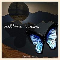 Various Artists - Seltene Erden vinyl cover