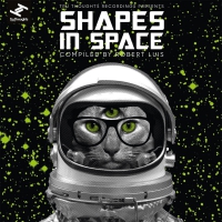 Various Artists - Shapes In Space vinyl cover