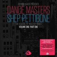 Various Artists - Shep Pettibone Master-Mixes Vol 1 Part 1 vinyl cover