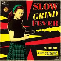 Various Artists - Slow Grind Fever 12 vinyl cover