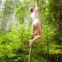 Various Artists - Solkyss Volym Fem vinyl cover