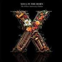 Various Artists - Soul In The Horn (The 10 Year Anniversary) vinyl cover