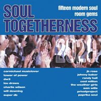 Various Artists - Soul Togetherness 2020 vinyl cover