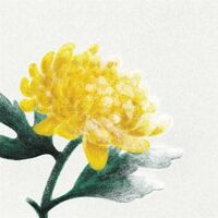 Various Artists - Spring Snow vinyl cover