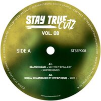 Various Artists - Stay True Cutz Vol. 8 vinyl cover