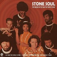 Various Artists - Stone Soul - The Origins Of Sly & The Family Stone vinyl cover