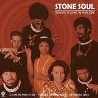 Various Artists - Stone Soul - The Origins Of Sly & The Family Stone