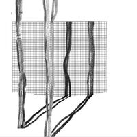 Various Artists - Systema Naturae II vinyl cover