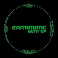 Various Artists - Systematic Gent vinyl cover