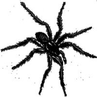 Various Artists - Tarantismo: Odyssey Of An Italian Ritual vinyl cover