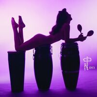 Various Artists - Technicolor Paradise: Rhum Rhapsodies & Other Exotic Delights vinyl cover