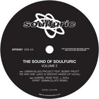 Various Artists - The Sound Of Soulfuric Vol. 2 vinyl cover