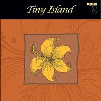 Various Artists - Tiny Island vinyl cover